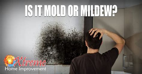 Mold Vs Mildew Xtreme Home Improvement Annville Pa