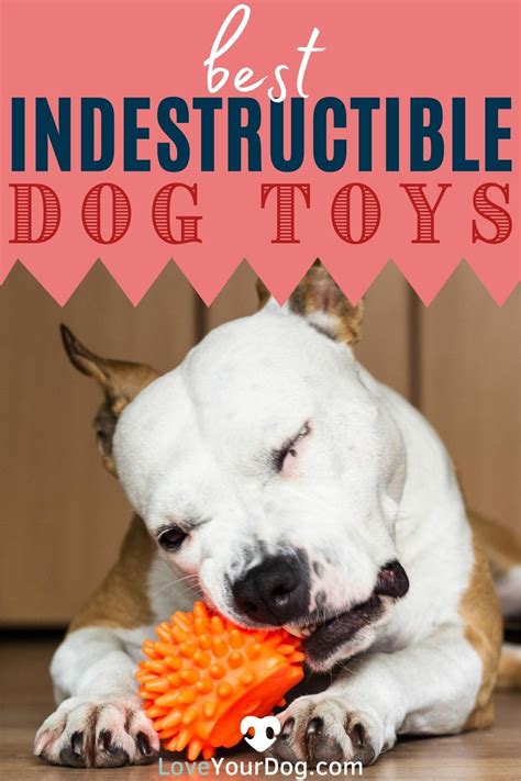 Best Indestructible Dog Toys For Aggressive Power Chewers Dog Toys