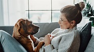 5 Tipps, wie Sie Ihrem Hund zeigen, dass Sie ihn lieben