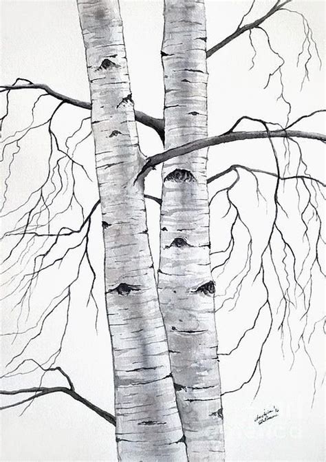 Birch Trees In Winter By Christopher Shellhammer Birch Tree Art Tree