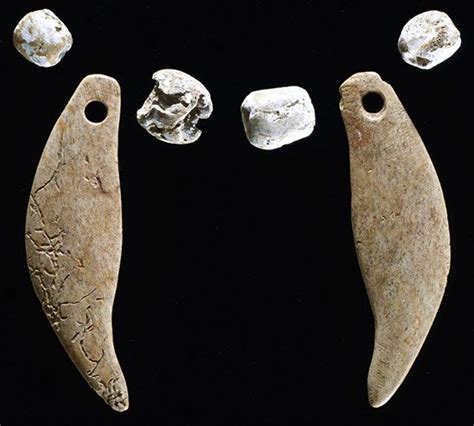 Illinois Native American Artifacts Ancient Carved Bone Bear Teeth