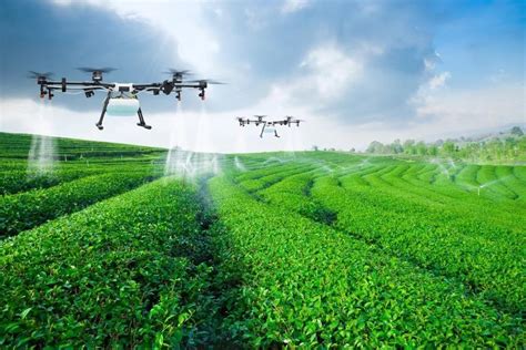 a comprehensive guide to choosing crop spraying services for farms the xders home