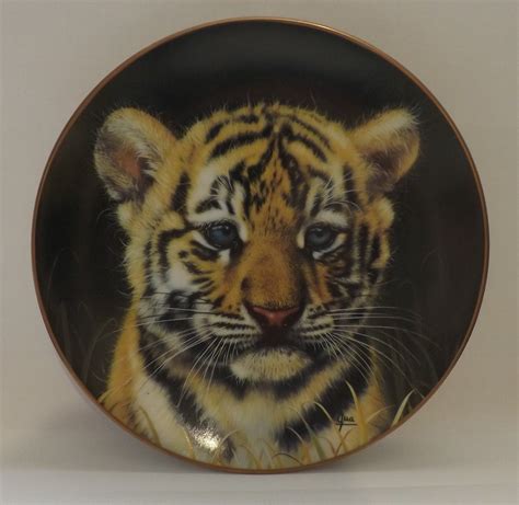 8 cubs of the big cats plate collection princeton gallery by etsy