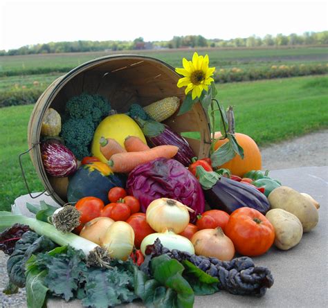 Check spelling or type a new query. Download Vegetables Flowers Wallpaper 1958x1839 ...