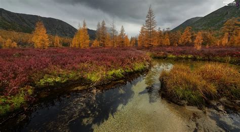 Magadan Circuit Russia Autumn Mountains Kolyma River Vegetation