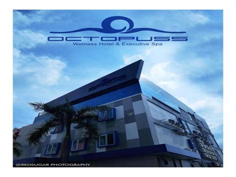 Octopuss Wellness Hotel And Spa Jambi Booking Deals Photos And Reviews