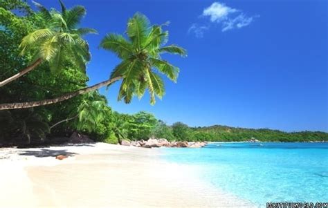 Seychelles Facts And Information Beautiful World Travel Guide