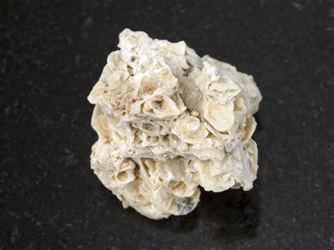 Limestone Identification Pictures And Info For Rockhounds Rockhound