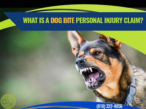 What Is A Dog Bite Personal Injury Claim