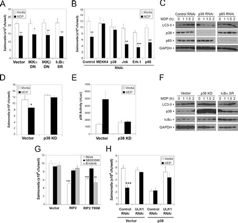 Figure From A Dual Role For Receptor Interacting Protein Kinase