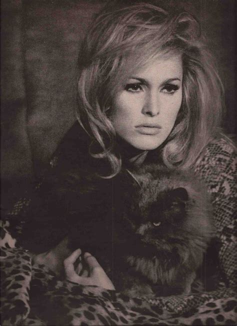 Ursula Andress Almost Famous Cats