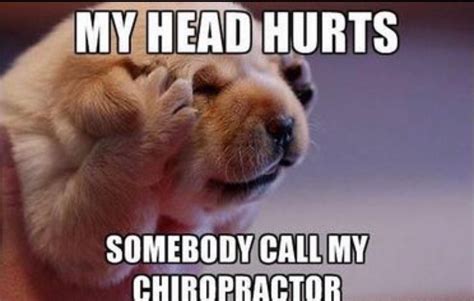 Pin By Cathie Rashid On Chiropractic Funny Monday Memes Monday Humor