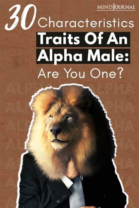 30 Characteristics Traits Of An Alpha Male Are You One Alpha Male