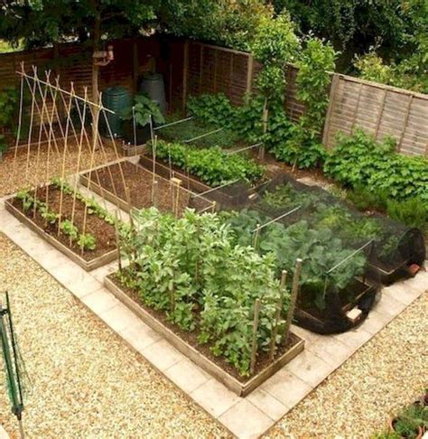 50 Modern Small Vegetable Garden Ideas 49 Best Home Design Ideas
