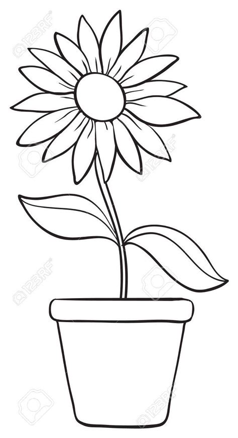 Flowers In A Pot Drawing At Getdrawings Free Download
