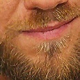 Curtis Axel's Beard (@CurtisAxelBeard) | Twitter