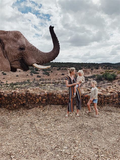 Seit ich das erste mal eine safari in afrika gemacht habe, bin ich ein absoluter fan von safaris. Unsere Südafrika Reise - Safari mit kleinen Kindern ...
