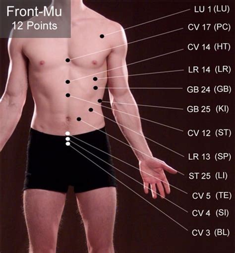 Front Mu Points Meridian Acupuncture Acupuncture Points Acupressure Points Traditional