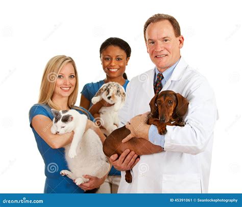 Veterinarian Veterinary Team Holds Different Animals Stock Image