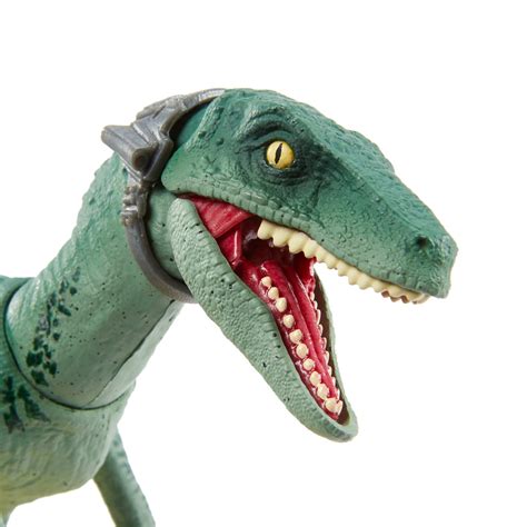 Buy Jurassic World Amber Collection Velociraptor Delta 6 In Collectible Dinosaur Action Figure