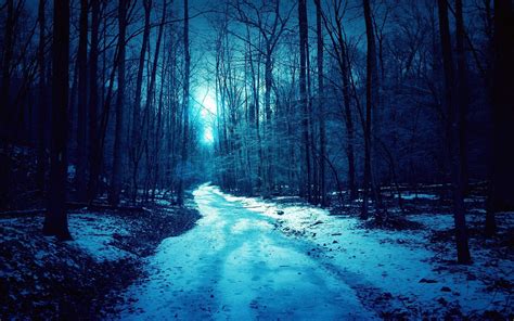 Forest Blue Winter Dark Spooky Road Wallpaper 2880x1800 632669