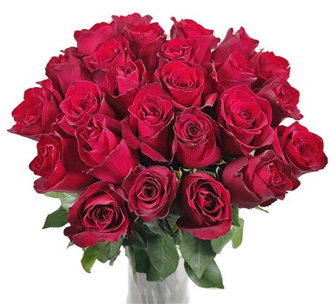 Красные Розы Картинки Красивые Любимой Девушке Telegraph