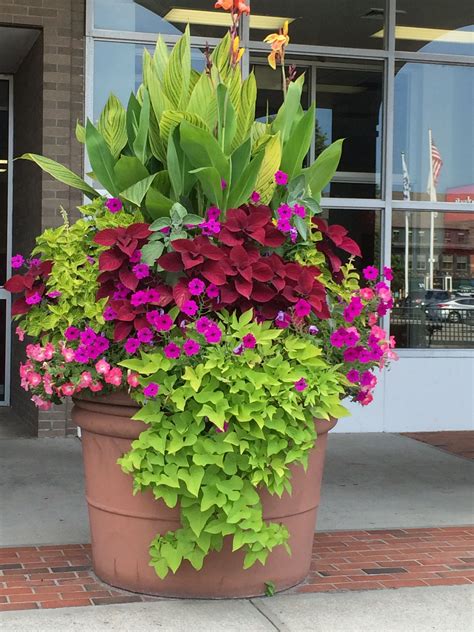 Outdoor Flower Pots Calgary Thuem Garden Plant