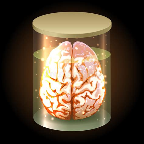 Brain In Jar Stock Illustration Illustration Of Object