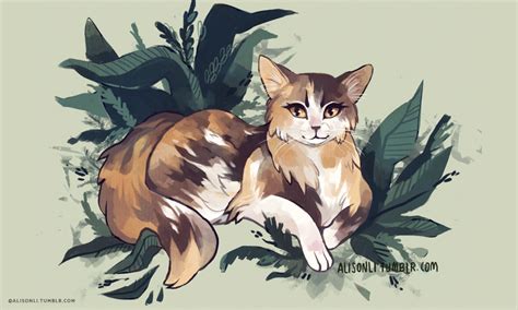 Spottedleaf Warrior Cats In Real Life