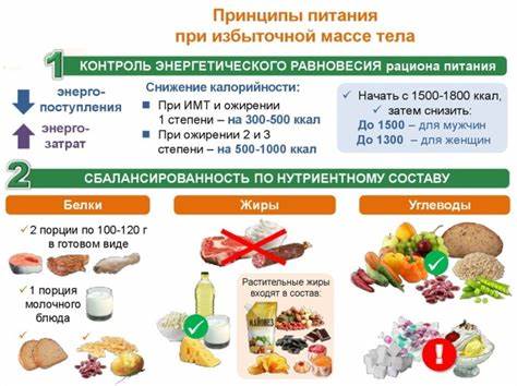 Большой живот у женщин как похудеть