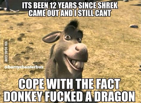 Donkey Dick 9gag