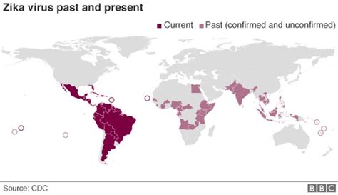 Zika Outbreak What You Need To Know Bbc News