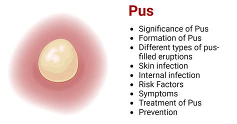 Pus Definition Formation Types Of Pus Cells Significance