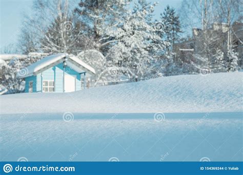 Winter Landscape On A Sunny Day Toned In Blue Stock Photo Image Of
