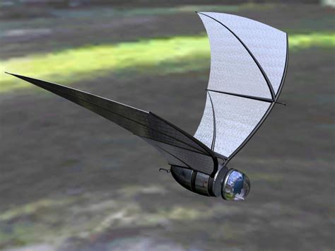Bat Inspired Spy Plane Tfot