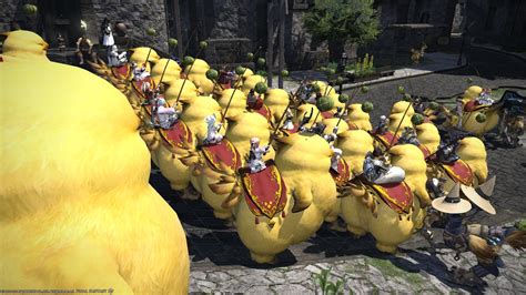 Chocobo Wallpaper 74 Images