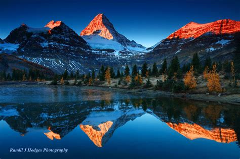 Sunrise Mt Assiniboine Reflected In A Tarn With Golden Larch Fro