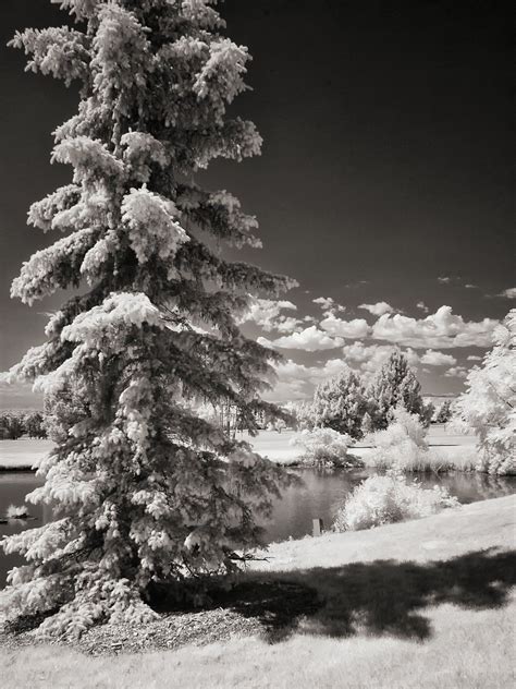 Arvada Co In Infrared Infrared Photography Natural Landmarks Arvada