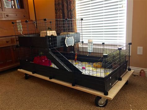Guinea Pig Cage Complete I Built A Platform With Casters To Make It