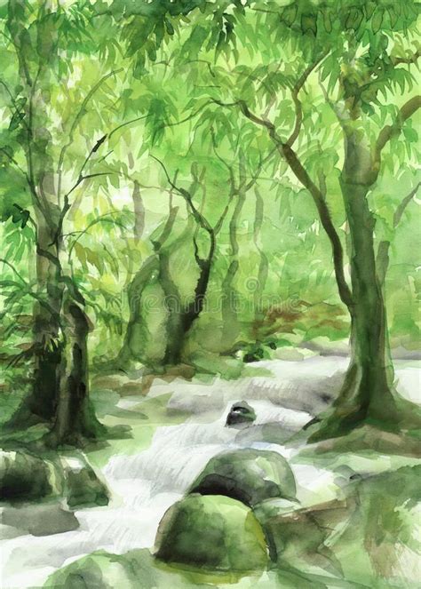 Creek In The Forest Watercolor Painting Of Green Forest With A Creek