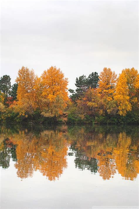 Autumn At The River Ultra Hd Desktop Background Wallpaper For Multi