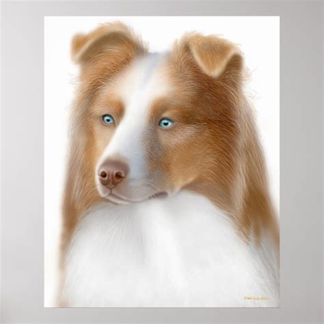 Australian Shepherd Dog Print