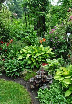 Maybe you would like to learn more about one of these? 900+ Shade Garden Plants ideas | shade garden, plants ...