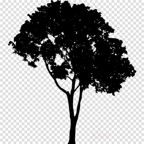 Download High Quality Tree Transparent Silhouette Transparent Png