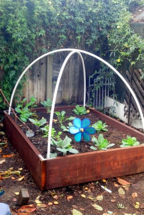 Budget things you'd most likely ask yourself is: Do it yourself ideas and projects: 12 DIY Greenhouses for Your Backyard
