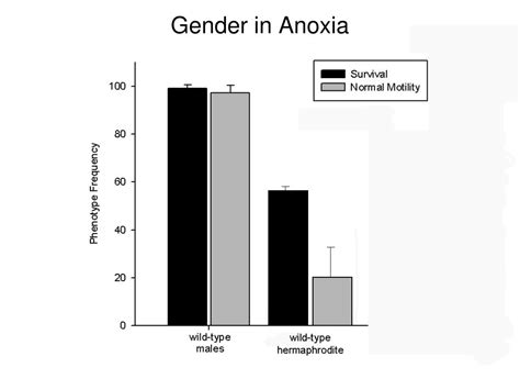 Ppt Sex Stress And Oxygen Deprivation Gender Specific Phenotypes