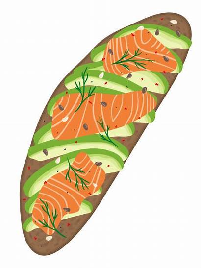 Salmon Smoked Vector Clip Illustrations Delicious Avocado