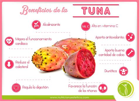 Beneficios De La Tuna Tuna Beneficios De La Fruta Frutas Y Verduras