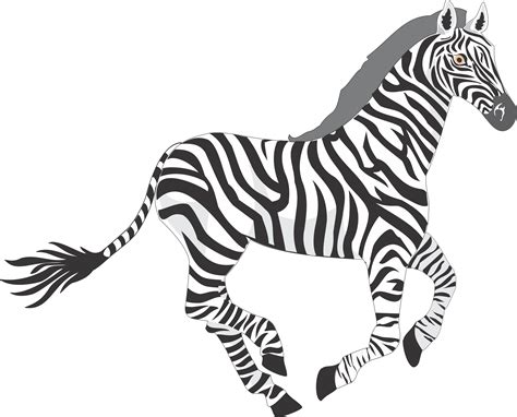 Zebra Cartoon Running  Clip Art Library