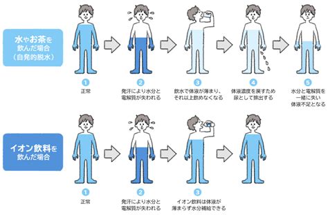 失った水分補給の方法｜大塚製薬